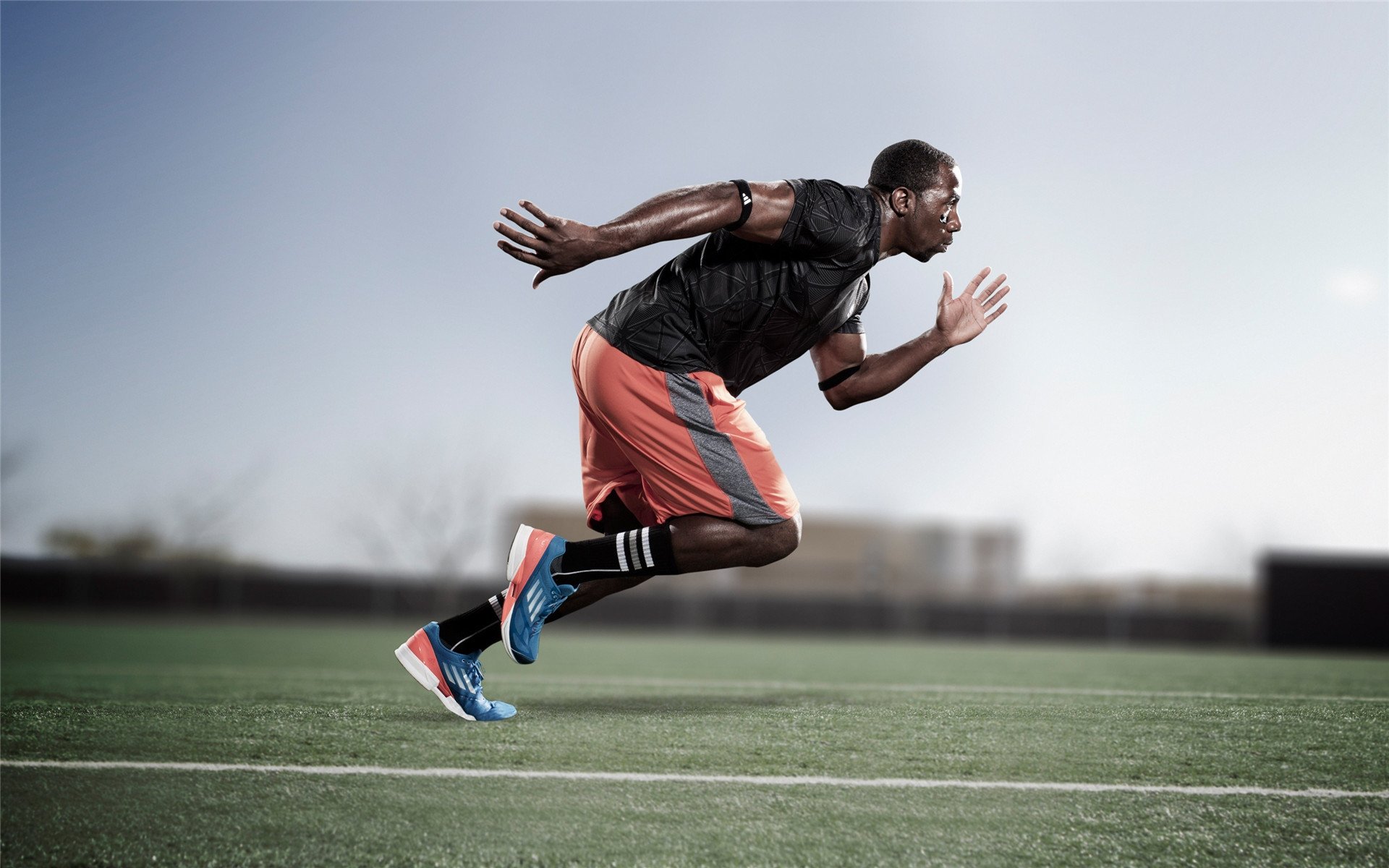 多米尼加武术运动奋勇争先,多米尼加现状